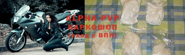 spice Богданович