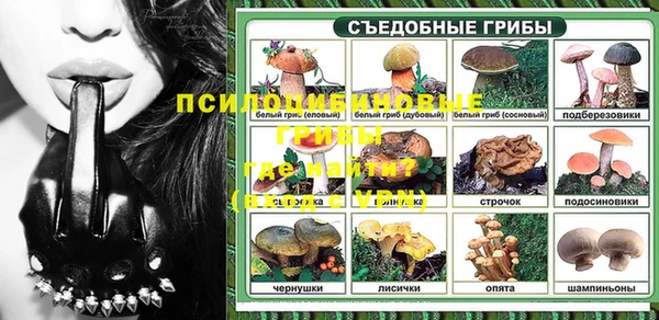 ECSTASY Богородицк