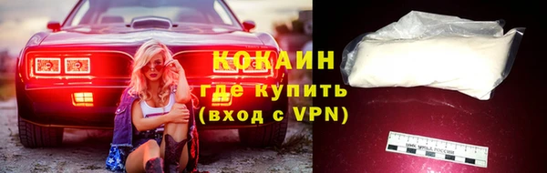 spice Богданович