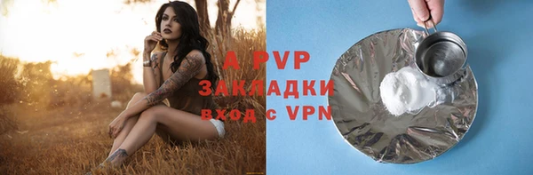 ECSTASY Богородицк