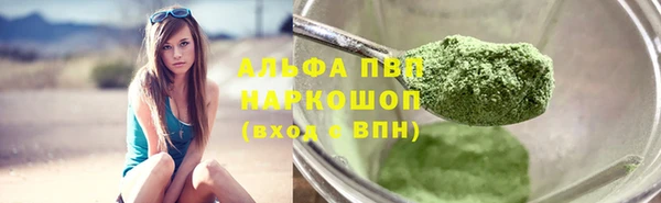 spice Богданович