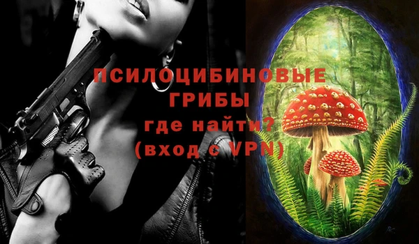 ECSTASY Богородицк