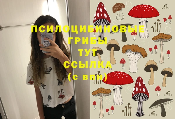 наркотики Богородск