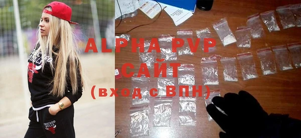 ECSTASY Богородицк