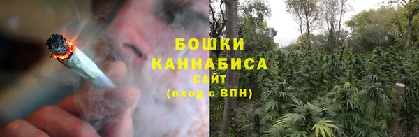 spice Богданович