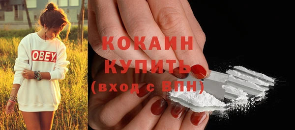 ECSTASY Богородицк