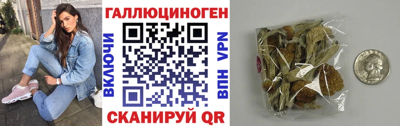Купить  Невельск  Псилоцибиновые грибы Psilocybine cubensis 