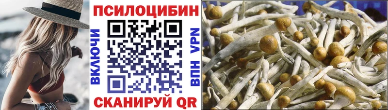 Псилоцибиновые грибы ЛСД Невельск